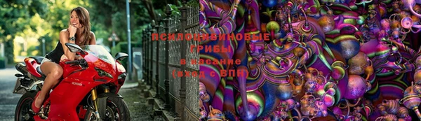гидра Алексеевка