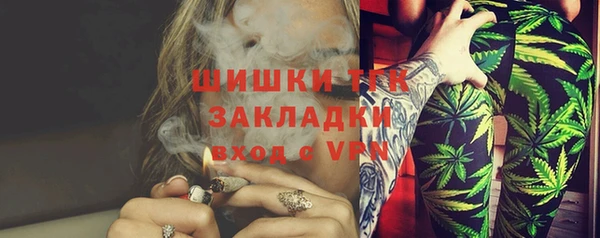 дмт Алзамай