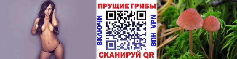 Галлюциногенные грибы прущие грибы  blacksprut ONION  Кувшиново 